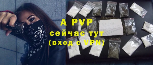 ECSTASY Сафоново
