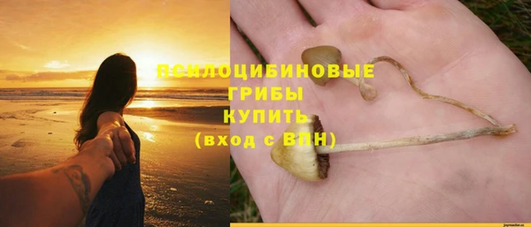 спайс Бородино