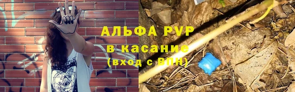 PSILOCYBIN Богородск